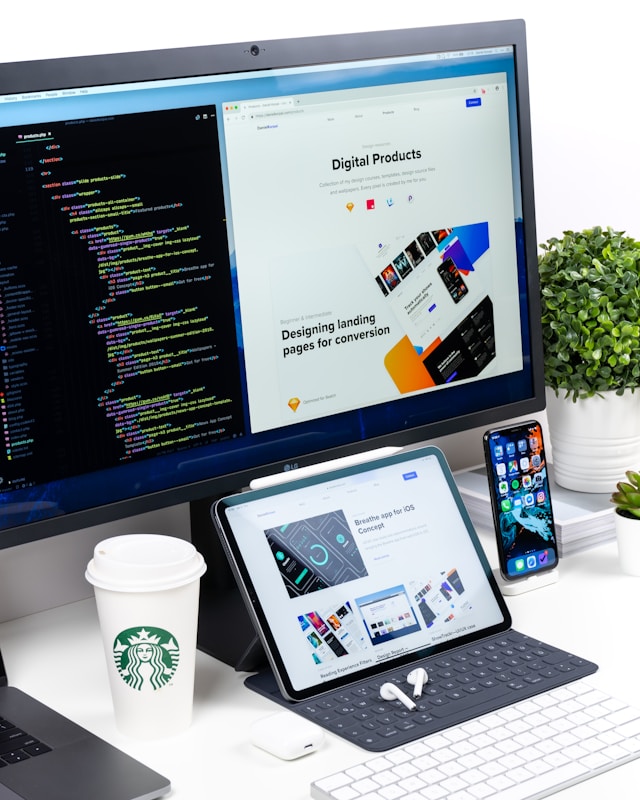 Software/System/Web Development
